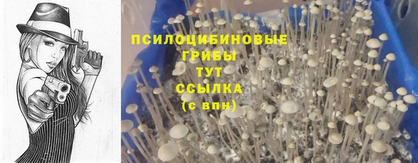 каннабис Алзамай
