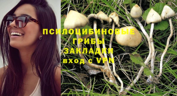 каннабис Алзамай