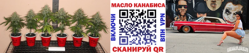 сайты даркнета наркотические препараты  Дрезна  ТГК THC oil  omg ТОР 
