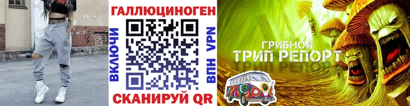 ОМГ ОМГ ссылки Дрезна Псилоцибиновые грибы GOLDEN TEACHER сколько стоит