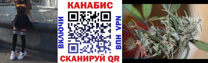 мега как войти  Дрезна  маркетплейс наркотические препараты  Конопля тримм 